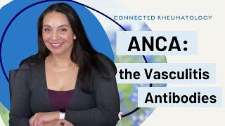 ANCA: The Vasculitis Antibodies