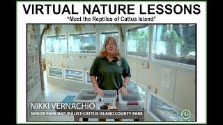 Virtual Nature Lessons: Meet the Reptiles of Cattus Island