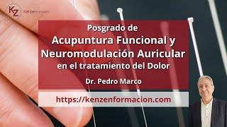 Posgrado de Acupuntura Funcional y Neuromodulación Auricular, Dr. Pedro Marco Aznar