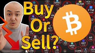 Crypto market has plummeted, should we sell or buy at the bottom? Entangled!加密货币市场暴跌，该抛售还是抄底？纠结！