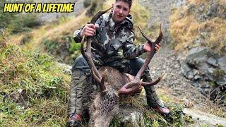 New Zealand Red Stags Are The Ultimate Hunting Experience