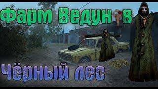 Фарм на Ведунах.Чёрный Лес (Stalker Online/Stay Out)