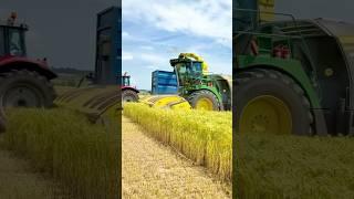 John Deere 9900i forage harvester on  whole crop #silage