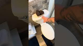Everything in this bathroom was loose — toilet, sink, you name it 