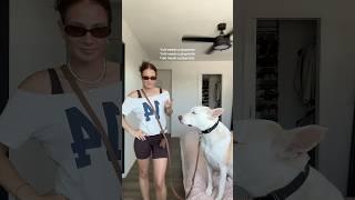 I’m jk 1 dog is a enough for me #dogshorts #dogmom #dog #puppy #dogowner #pets #trend