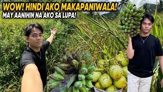 ANIHAN SA ATING NABILING LUPA! | HINDI AKO MAKAPANIWALA!