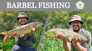 BARBEL FISHING| Summer fishing on a YORKSHIRE RIVER!