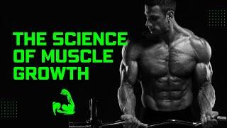Unlocking The Secrets Of Muscle Growth: Your Ultimate Guide | SunnySide TV