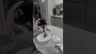 I'm sad I can't eat it