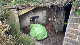 Abandoned Wood Shed - Complete Renovation Start to Finish Timelapse