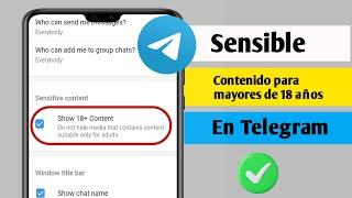 Cómo habilitar contenido sensible enTelegram. Deshabilitar el filtrado en Telegram (2024)