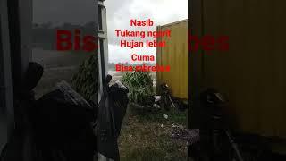 Nasib tukang ngarit#kalimantan #viral #kambing