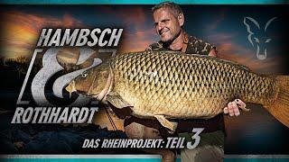 Hambsch & Rothhardt - Das Rheinprojekt Teil 3 (Karpfenangeln)