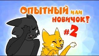 CatWar | Игра глазами новичка и опытного #2