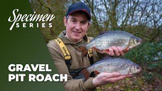 Phil Spinks Specimen Series - Gravel Pit Roach Fishing