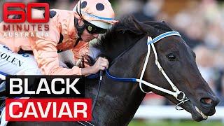 Remembering Black Caviar: The greatest racehorse ever? | 60 Minutes Australia