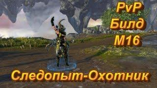 Neverwinter Online/ PvP билд Следопыт-Охотник/M16