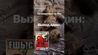 20 % усилий = 80% результата  #английскийонлайн  #английскийязык #английский