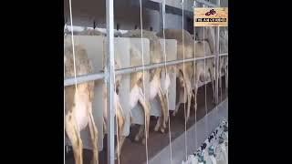 Agriculture Advance Technology