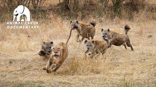 Wildlife Wonders of the GEM of Africa