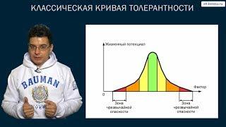 Курс БЖД. Основные понятия.