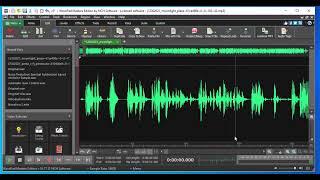 Trimming Unwanted Audio with WavePad For AutoScript