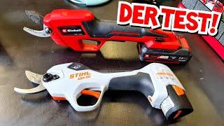 HEFTIGER UNTERSCHIED IN PREIS UND LEISTUNG! | Astscheren TEST | Einhell vs. Stihl | Mr. Moto