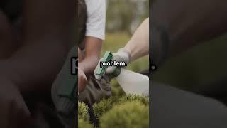 Natural Garden Defense That Makes Pests DISAPPEAR in 10 Days | DH Garden Centre