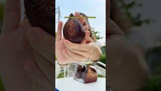 Пробую необычный экзотический фрукт #кругосветка #таиланд #путешествия #тревелблог #тревелблогер