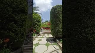 Experience the MAGIC of HEAVEN on Earth with Garden Beauty! #shorts #nature #trending #shortvideo