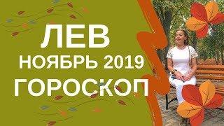 Лев - гороскоп на ноябрь 2019 года