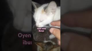 Salam dari ibu nya oyen#