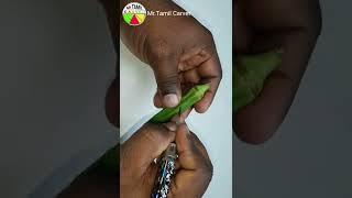 vegetable carving/carving fruit and vegetables/flower carving design #shorts #short  #carving