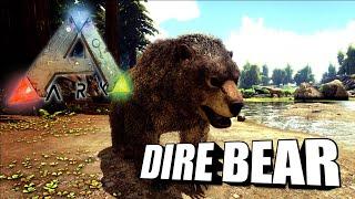 Taming A Dire Bear | Ark Survival Evolved | The Island