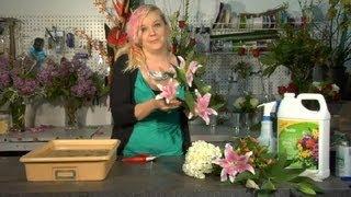 How Do I Keep Fresh Cut Flowers Alive? : Floral Tips & Ideas