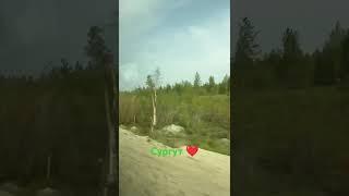 #Сургут2025 #сургут86 #86 #Сургут #хмао #сургут #хмаоюгра #наталиясыпченко #travel #красота #funny #