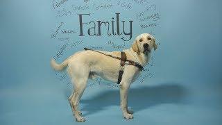 Southeastern Guide Dogs - "Family"