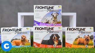 Frontline Plus Flea & Tick Treatment for Dogs | Chewy