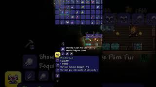 First Time Seeing Flinx Fur Coat in Terraria #shorts #twitch