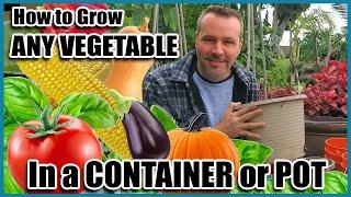 How to Grow Vegetables in Containers // Container Gardening // Self Sufficient Sunday!