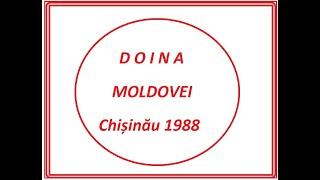 DOINA  MOLDOVEI