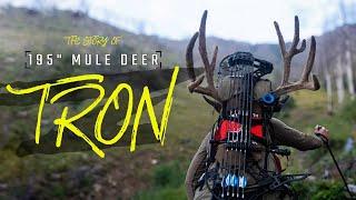 195 Utah High Country Mule Deer | The Story of "TRON"