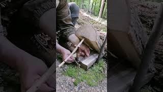 trap #bushcraft #trap #survival