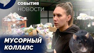 Крысы и бомжи в мусоре: жители Екатеринбурга борются с коммунальными проблемами