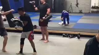 Beginners Muay Thai classes