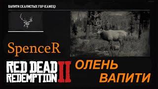 Превосходная Шкура Оленя-Вапити. Red Dead Redemption 2.