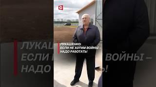 Лукашенко: Если не хотим войны – надо работать! #беларусь #лукашенко #политика #новости