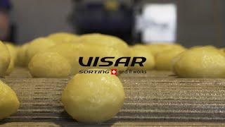 Visar Sortop  Peeled Potatoes