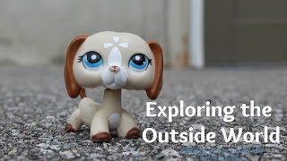 Lps: Exploring the Outside World (Escaping the Box)