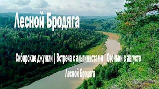 Сибирские джунгли | Встреча с альпинистами | Огоньки в августе | Лесной Бродяга